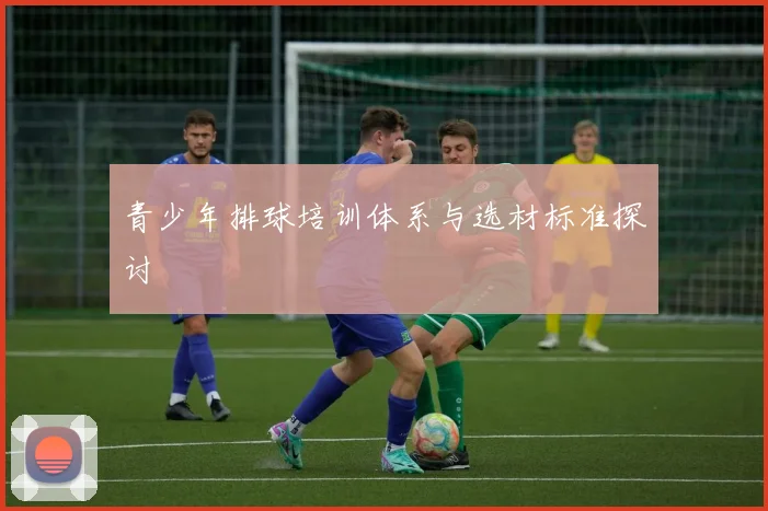 青少年排球培训体系与选材标准探讨