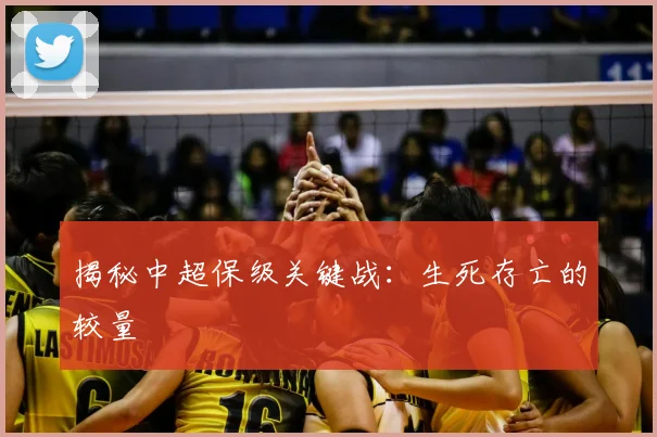 揭秘中超保级关键战:生死存亡的较量