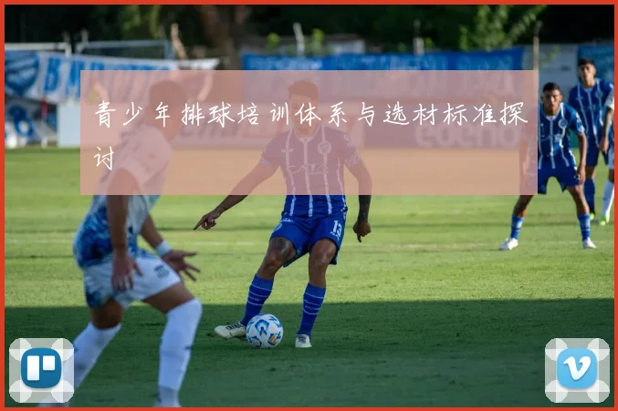 青少年排球培训体系与选材标准探讨